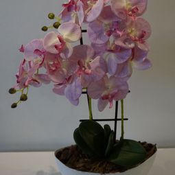 DSC01001.JPG