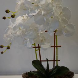 DSC01020.JPG