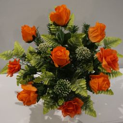 DSC01049.JPG