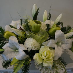DSC01006.JPG