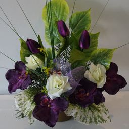 DSC00971.JPG